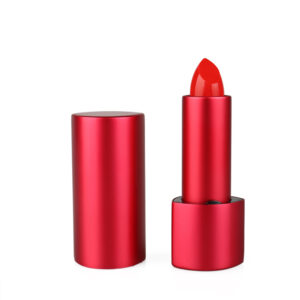 Custom Logo Private Label Round Case Lipstick Everyday Beauty Cosmetic Makeup OEM ODM 